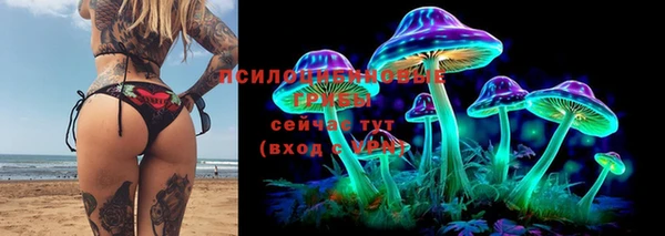 трава Пестово