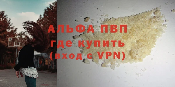 спиды Пересвет