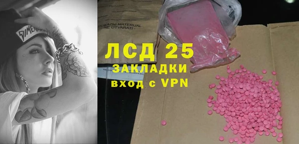 спиды Пересвет