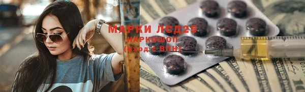 спиды Пересвет