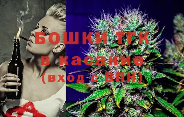 спиды Пересвет