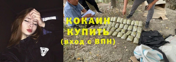 спиды Пересвет