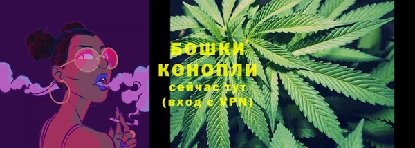 спиды Пересвет