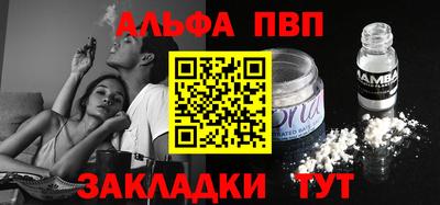 шишки Дмитров