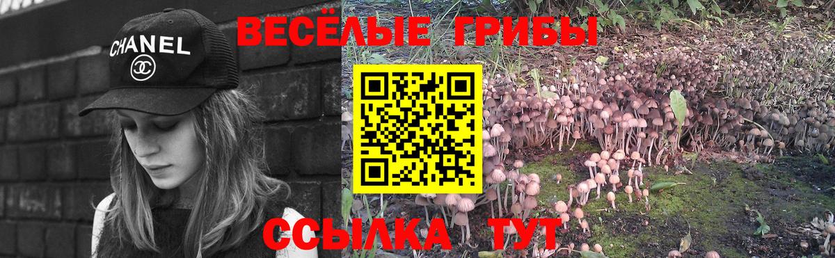 Псилоцибиновые грибы Psilocybine cubensis Чапаевск